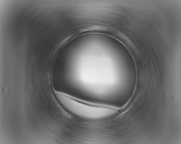 X0000074941321200609010935