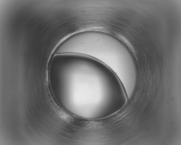 X0000074941324200609010935