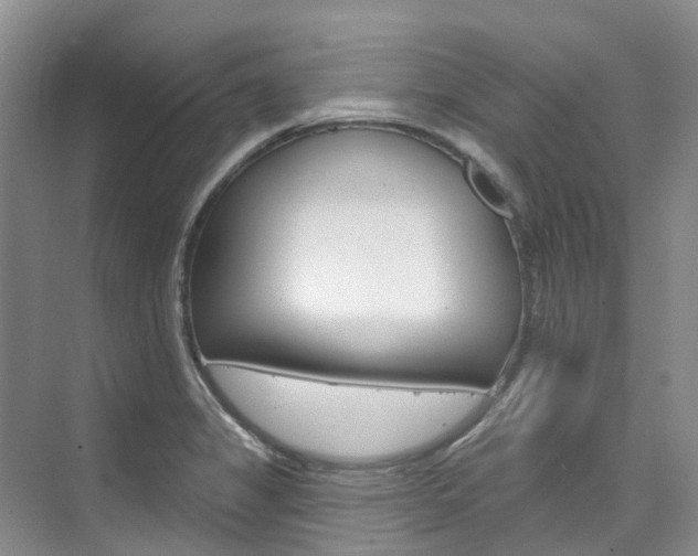 X0000074941325200609010935