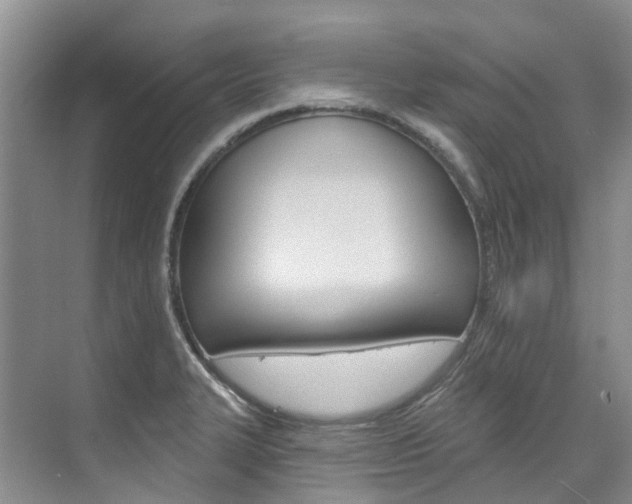 X0000074941327200609010935