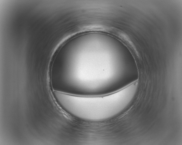 X0000074941328200609010935