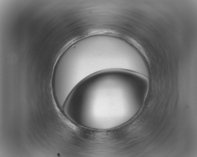 X0000074941330200609010935