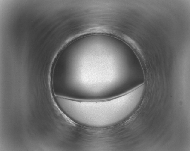 X0000074941334200609010935