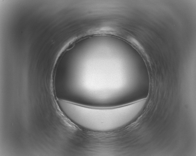 X0000074941336200609010935