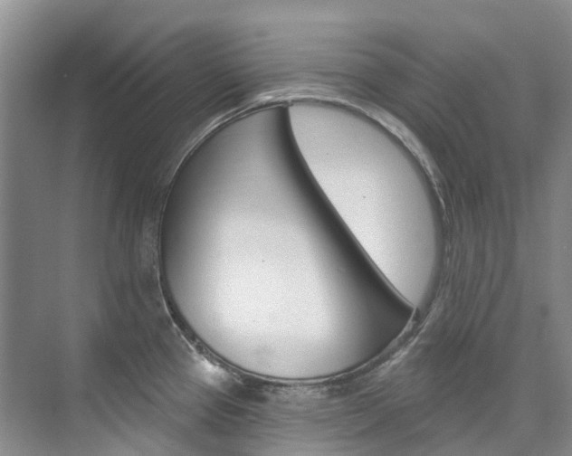 X0000074941337200609010935