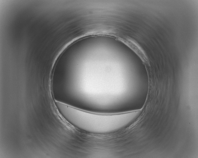 X0000074941340200609010935