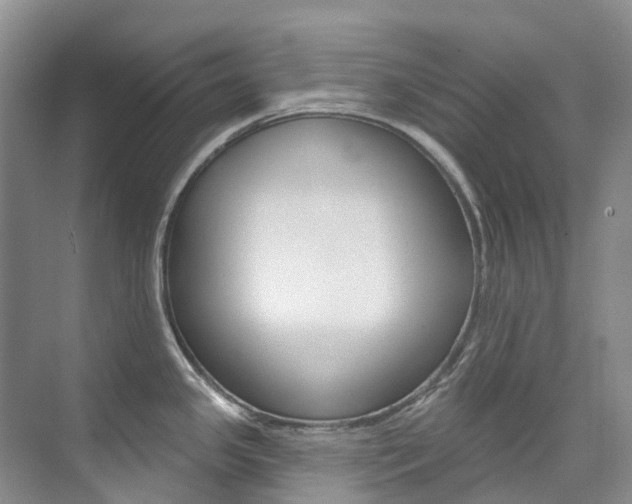 X0000074941341200609010935