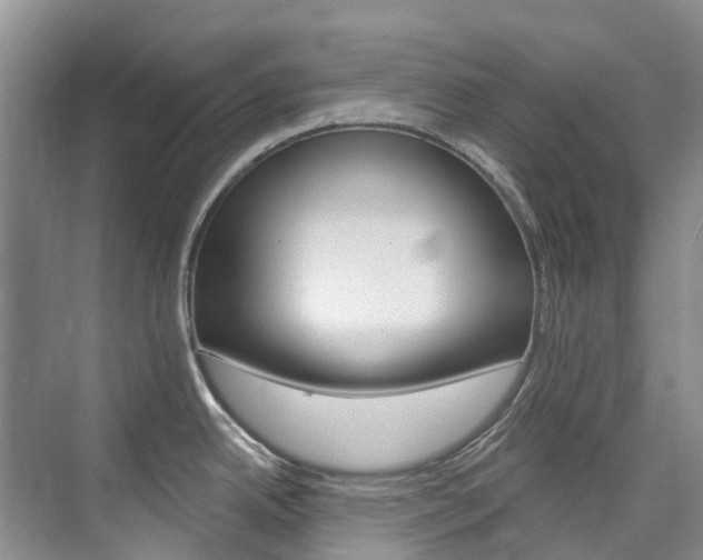 X0000074941342200609010935