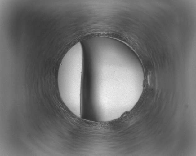 X0000074941347200609010934