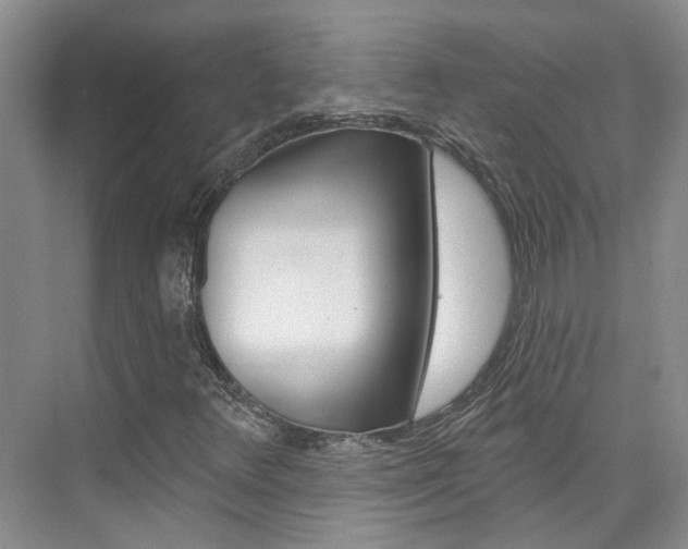 X0000074941348200609010934