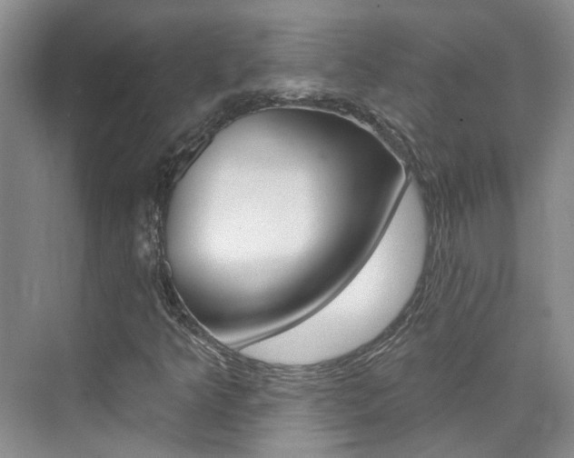 X0000074941349200609010934