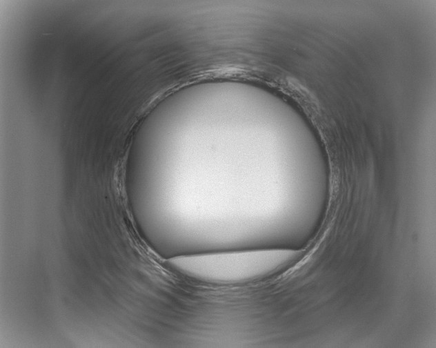 X0000074941353200609010934