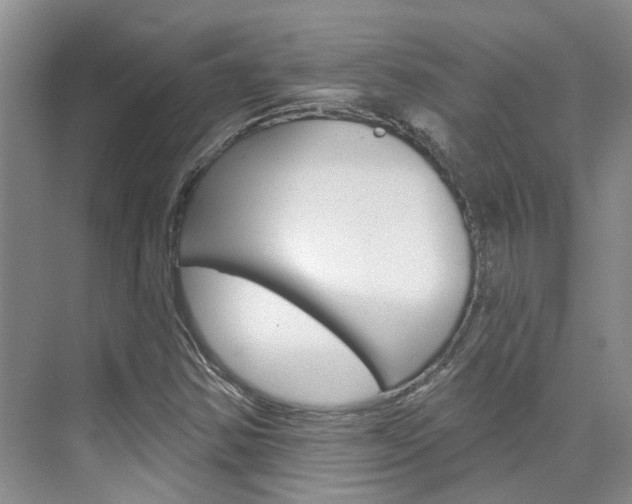 X0000074941354200609010934