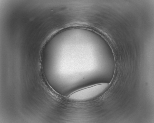 X0000074941363200609010934