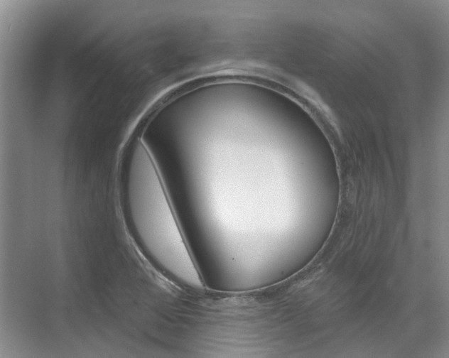 X0000074941368200609010934
