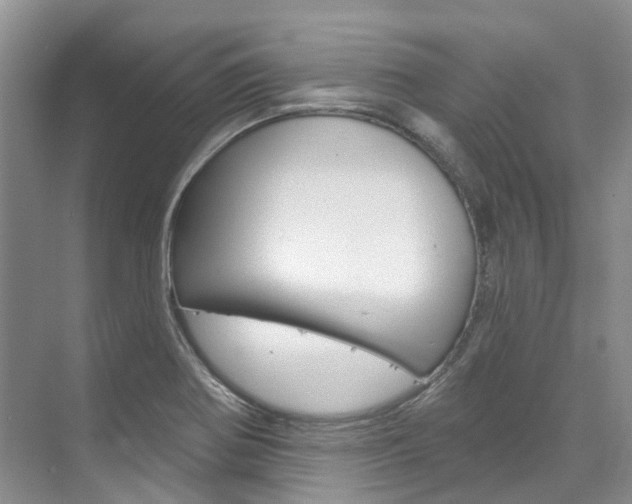 X0000074941370200609010934