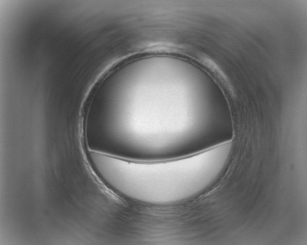 X0000074941376200609010934