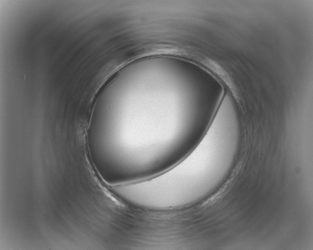 X0000074941377200609010934