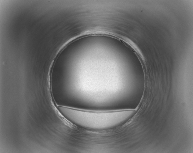X0000074941388200609010934