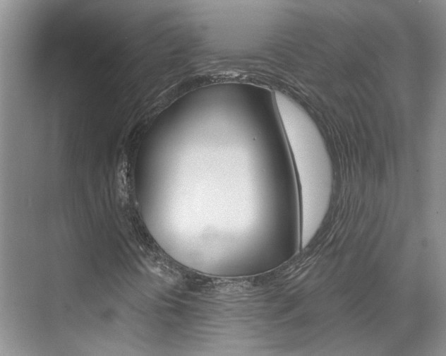 X0000074941394200609010933