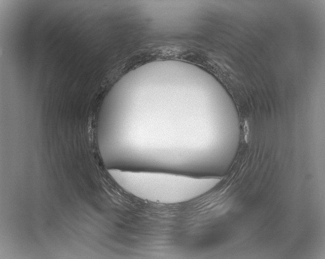 X0000074941395200609010933