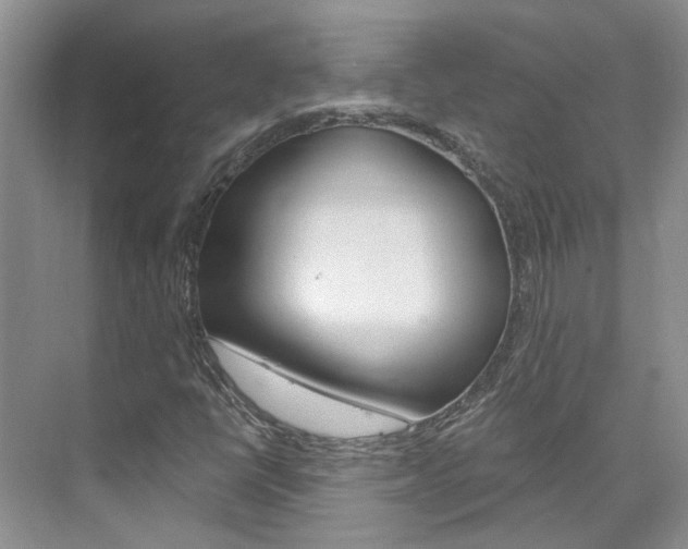 X0000074941398200609010933