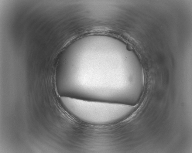 X0000074941401200609010933