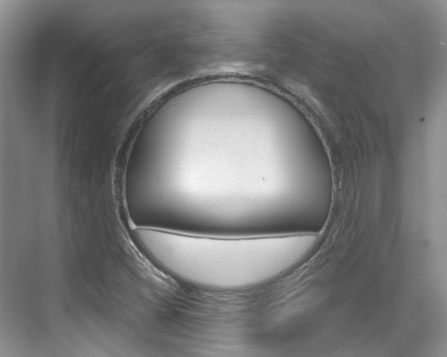 X0000074941404200609010933