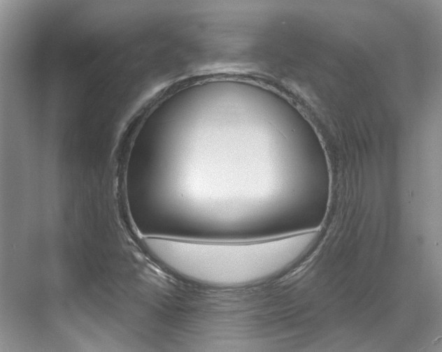 X0000074941406200609010933