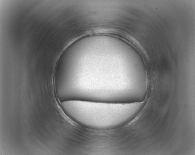 X0000074941417200609010933