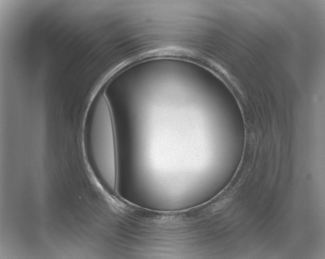 X0000074941418200609010933