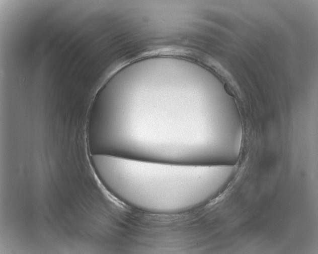 X0000074941425200609010933