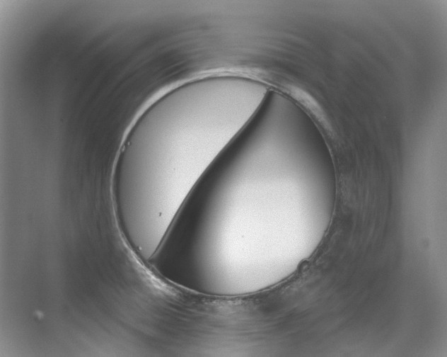 X0000074941428200609010933