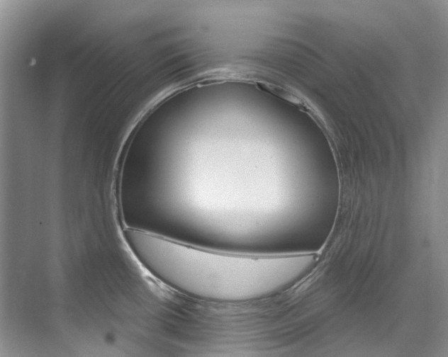 X0000074941434200609010933