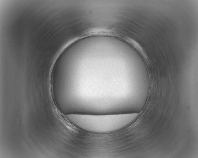 X0000074941435200609010933