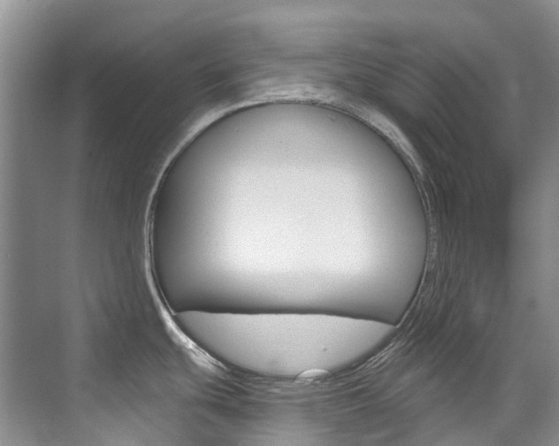 X0000074941439200609010933