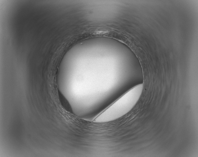 X0000074941441200609010933