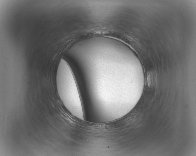 X0000074941444200609010933