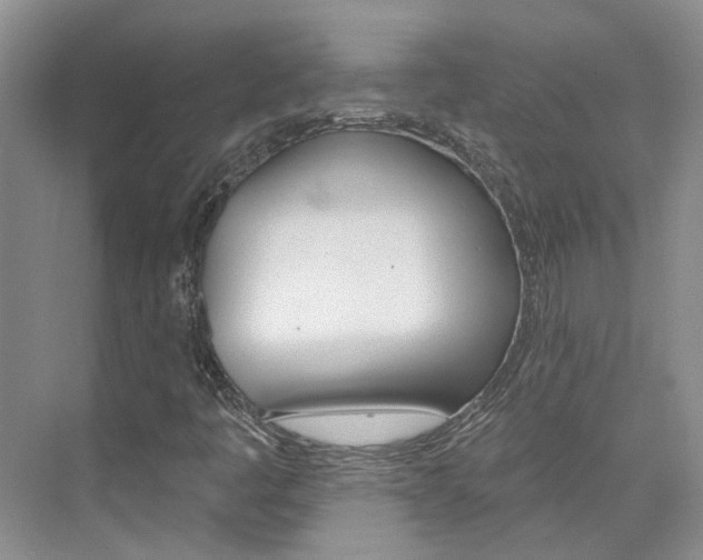X0000074941445200609010933