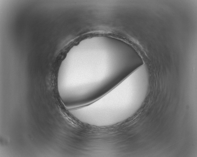 X0000074941448200609010933
