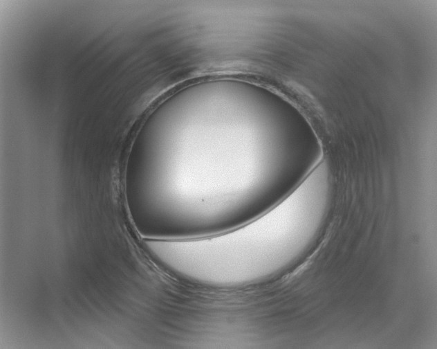 X0000074941457200609010932