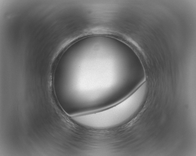 X0000074941461200609010932