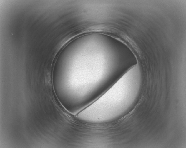 X0000074941465200609010932