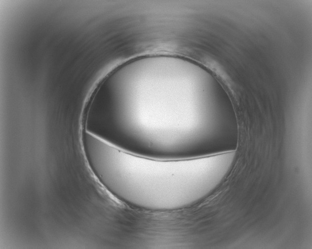 X0000074941480200609010932