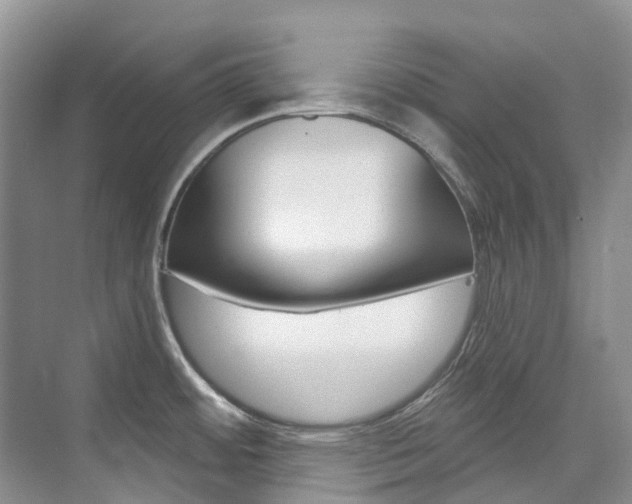 X0000074941484200609010932