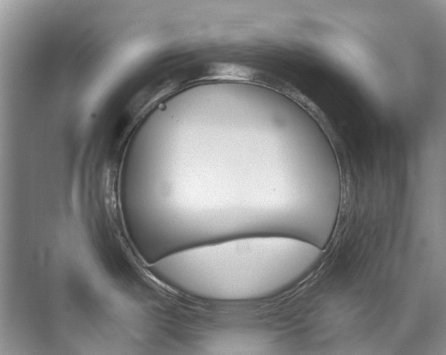 X0000074941487200609010932