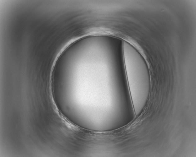 X0000074941488200609010932