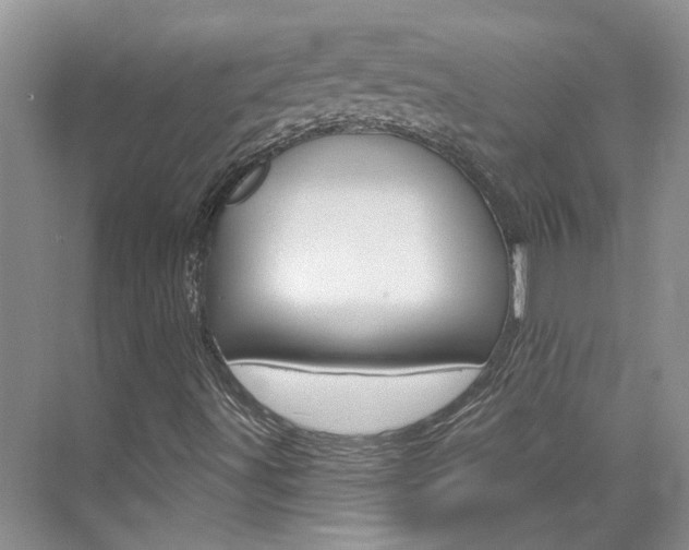 X0000074941491200609010931