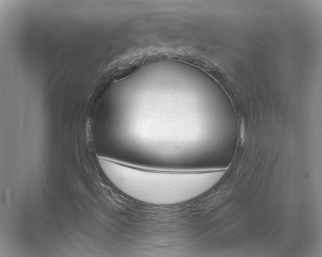 X0000074941492200609010931