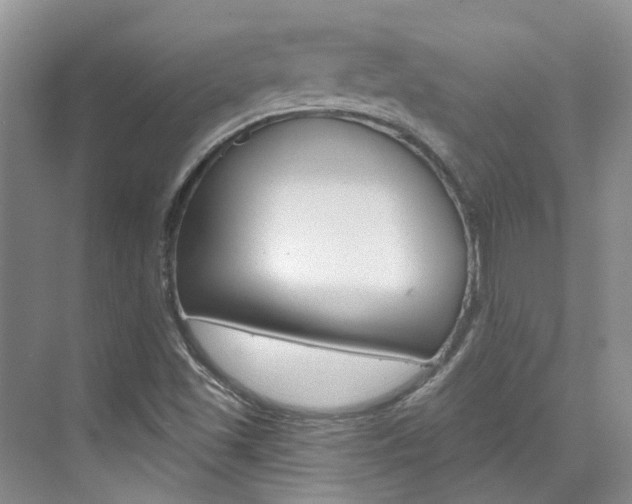 X0000074941501200609010931